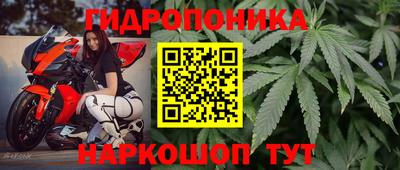 mdpv Братск
