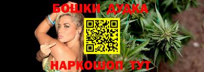 СК Боровичи